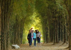 Hutan-Bambu-dan-Taman-Harmoni-Keputih-300x213.jpg